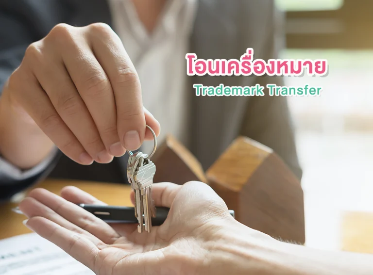 การฟ้องคดีต่อศาล (Litigation)